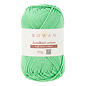 Rowan Kaffe Fassett Handknit Cotton - 14 Lizard