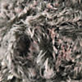 Cascade Furliscious - 05 Tortie