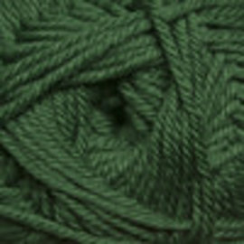 Cascade 220 Superwash Merino - 016 Verdant Green