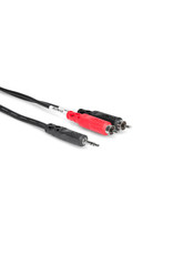 Hosa Hosa Stereo Breakout, 3.5 mm TRS to Dual RCA, 6 ft