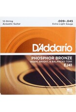 D'Addario D'Addario EJ41 12 String Acoustic Set 9-45 D'Addario D'Addario EJ41 12 String Acoustic Set 9-45