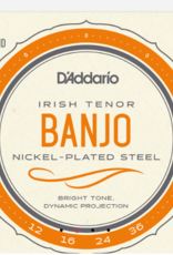 D'Addario D'Addario Irish Tenor Banjo Nickel, 12-36