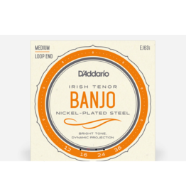 D'Addario D'Addario Irish Tenor Banjo Nickel, 12-36