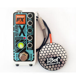 Rainger Rainger Reverb X Digital Reverb w/Igor