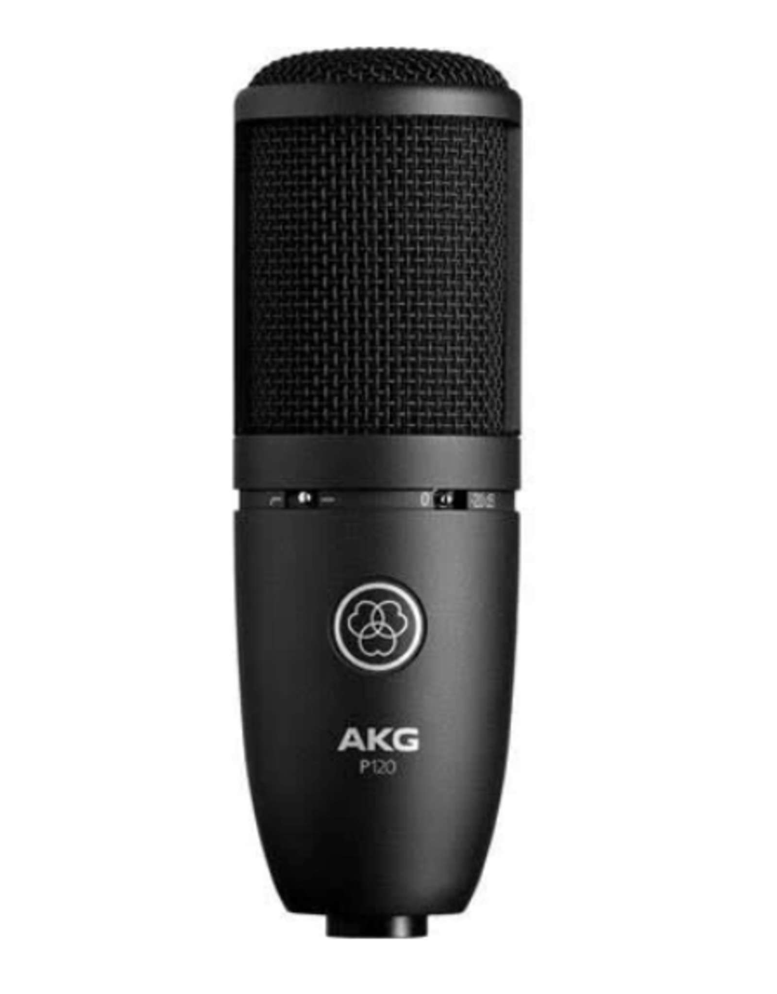 AKG AKG P120 High Performance General Purpose Recording Mic