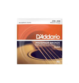 D'Addario D'Addario EJ42 Resophonic Guitar Strings, 16-56