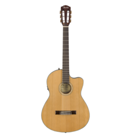 Fender Fender CN-140SCE Nylon Thinline, Natural w/Case