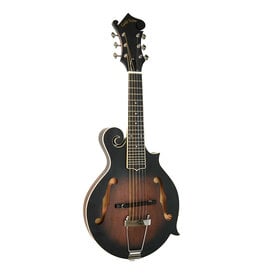 Gold Tone Gold Tone F-6: F-style Mando-Guitar w/Pickup & Case