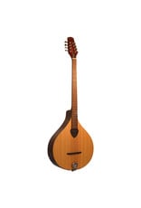 Gold Tone Gold Tone Irish Bouzouki Mandolin w/Case