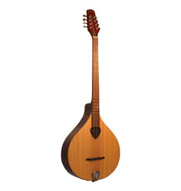 Gold Tone Gold Tone Irish Bouzouki Mandolin w/Case
