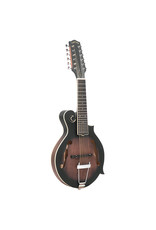 Gold Tone Gold Tone 12-string F-style Mando-Guitar w/Pickup & Case