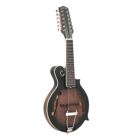 Gold Tone Gold Tone 12-string F-style Mando-Guitar w/Pickup & Case