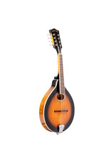 Gold Tone Gold Tone GM-50+: A-Style Mandolin w/Pickup & Bag