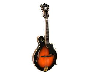 Amazon.com: Gold Tone GM-70 F-Style Mandolin (Two Tone