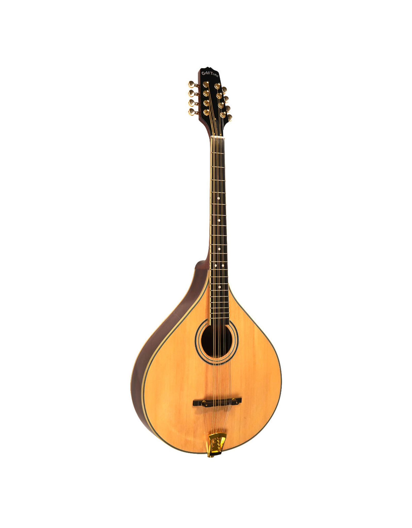 Gold Tone OM-800+ Octave Mandolin