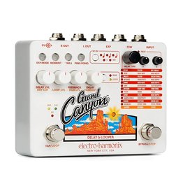 Electro-Harmonix EHX Grand Canyon Delay & Looper, 9.6DC-200 PSU Included