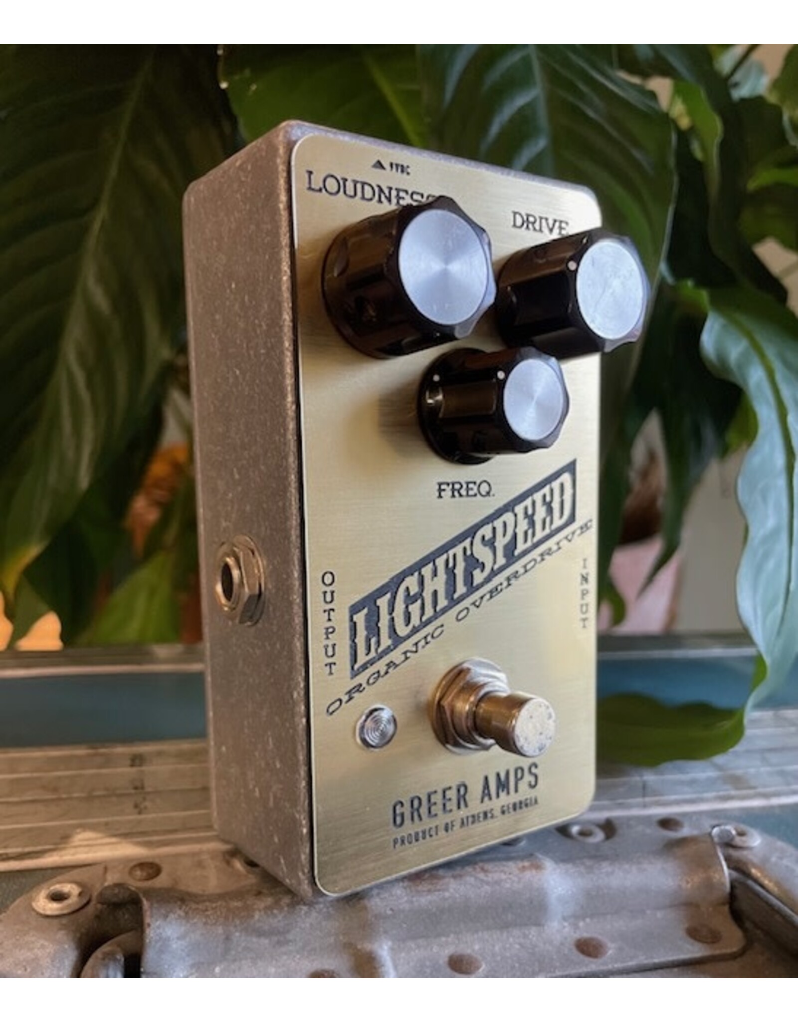 Greer Amplification Greer Lightspeed Organic Overdrive Twin House Music Exclusive Brushed Gold/Black