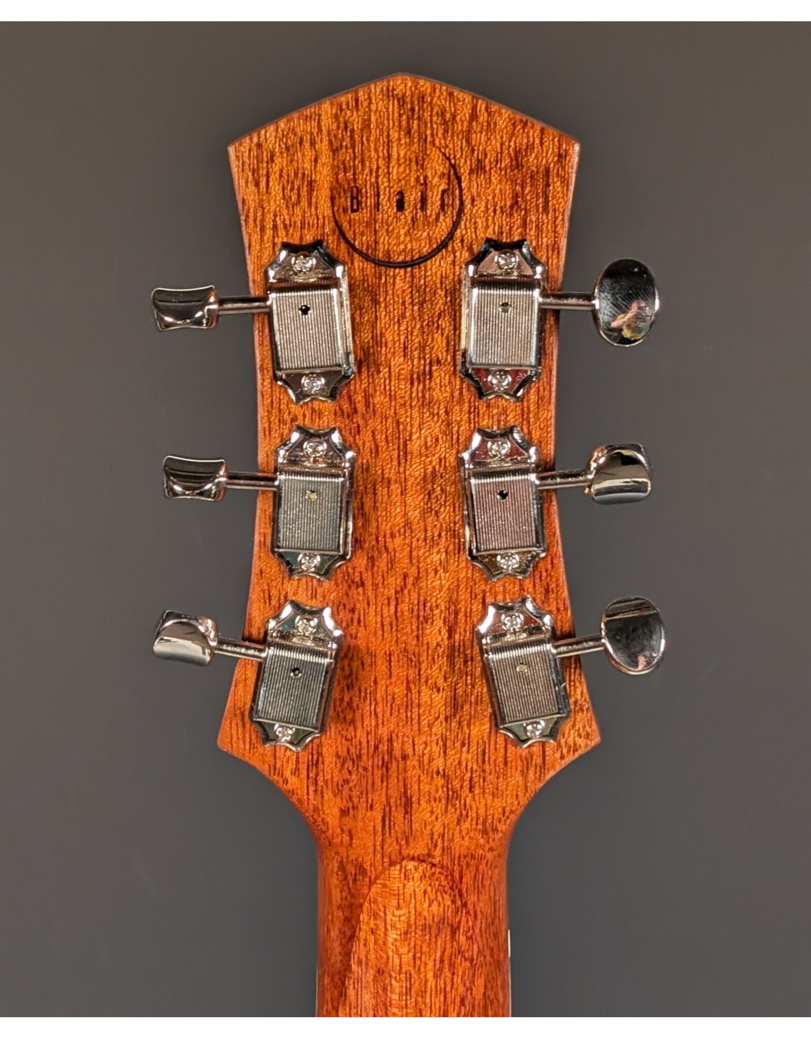 Blair Instruments Type 2 Electric Guitar w/Gator Rigid Case