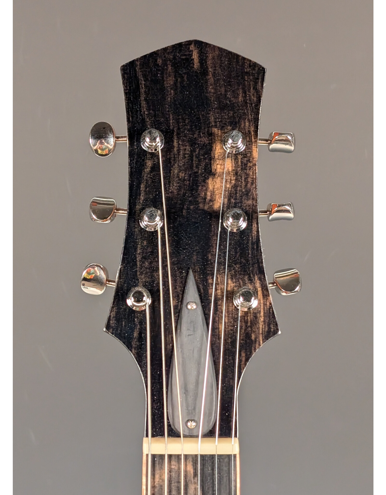 Blair Instruments Type 2 Electric Guitar w/Gator Rigid Case