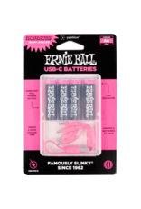 Ernie Ball Ernie Ball USB-C Rechargeable AA Battery by Paleblue - 4-pack