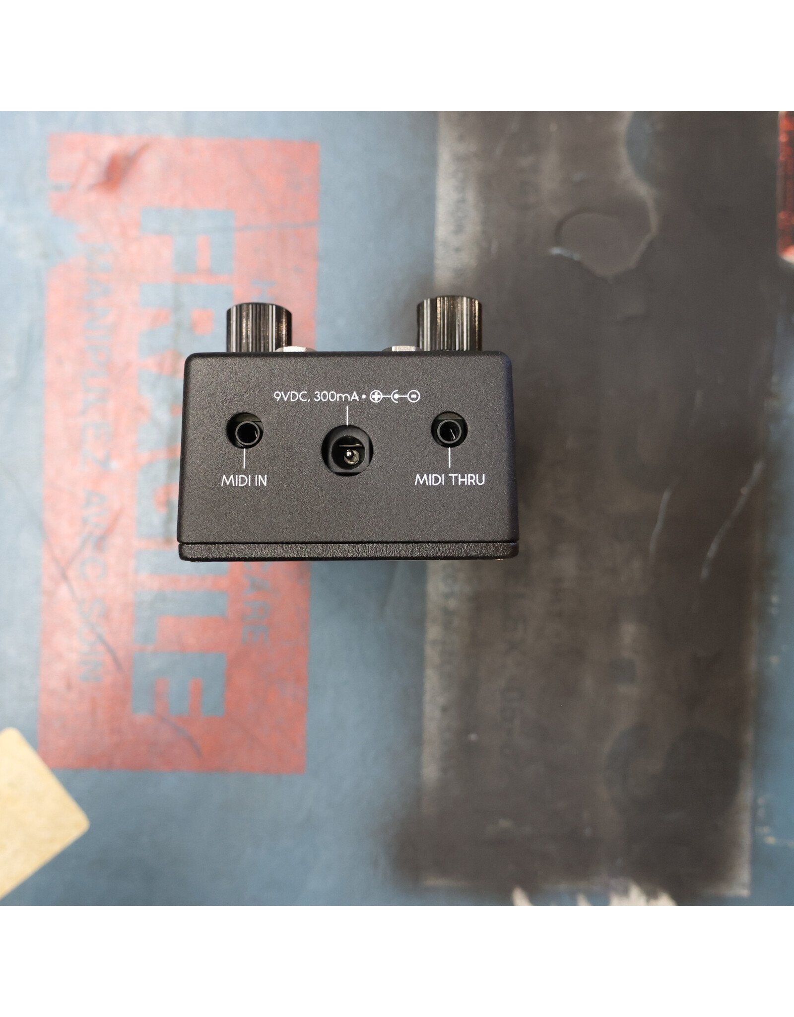 Walrus Audio Walrus Audio Canvas Rehearsal w/ Box, Used