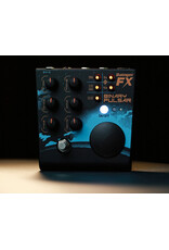 Rainger Rainger Effects Binary Pulsar