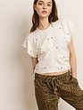 Star Embroidered Top