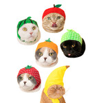 Kitan Club Cat Cap Blind Box (Fruit)