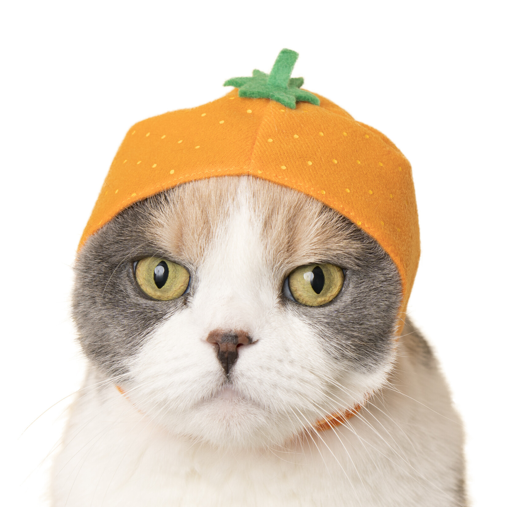 Kitan Club Cat Cap Blind Box (Fruit)