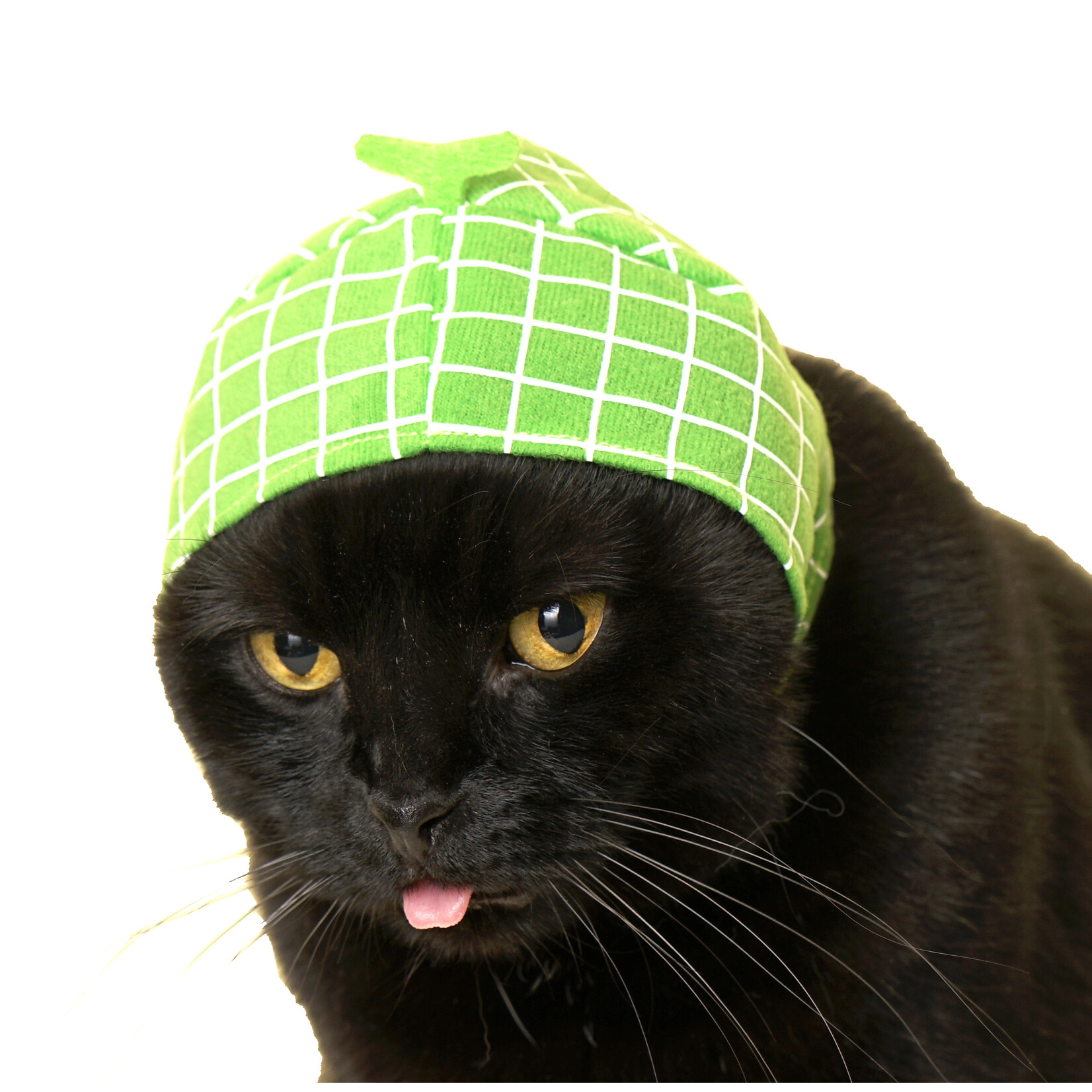 Kitan Club Cat Cap Blind Box (Fruit)