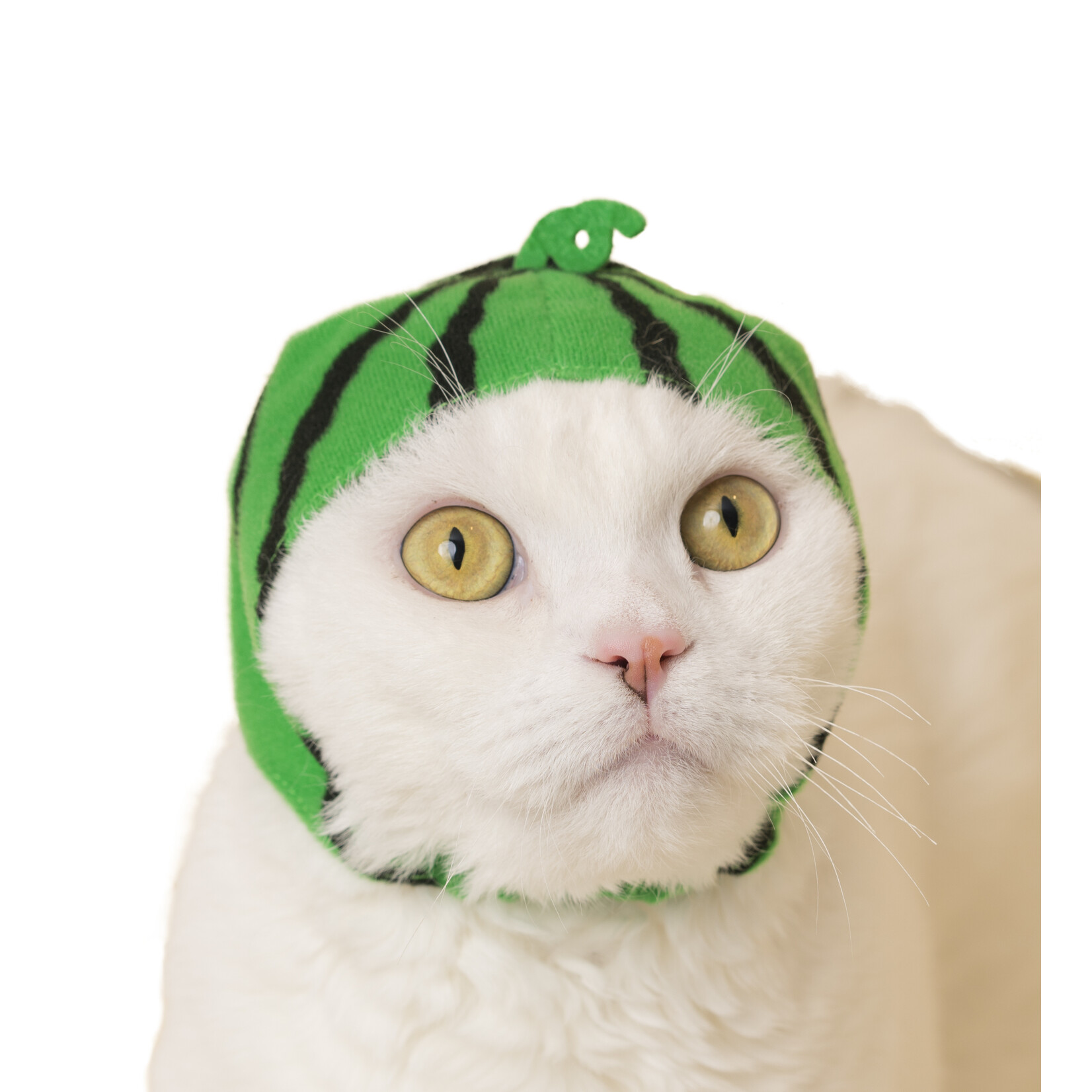 Kitan Club Cat Cap Blind Box (Fruit)