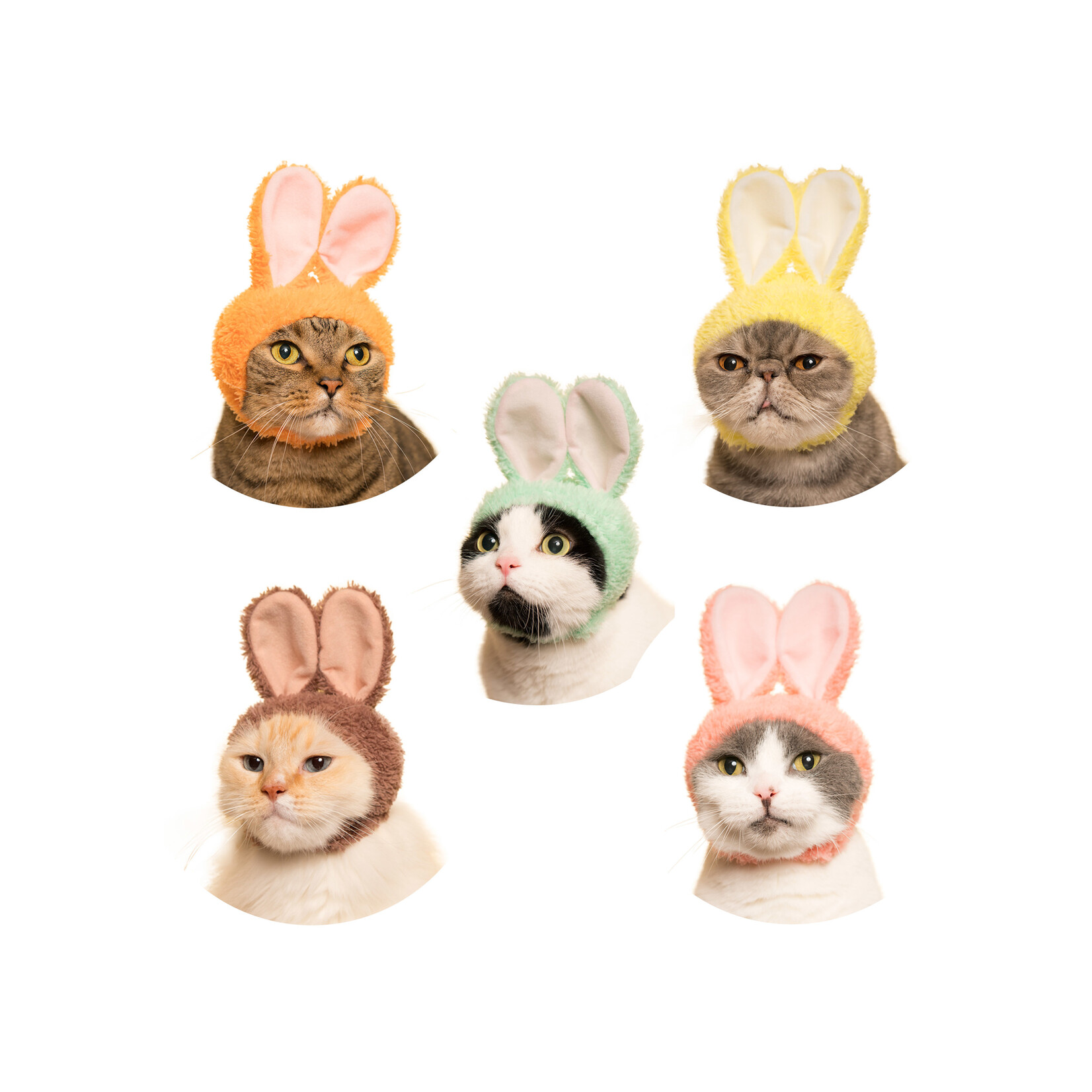Kitan Club Cat Cap Blind Box (Rabbit)