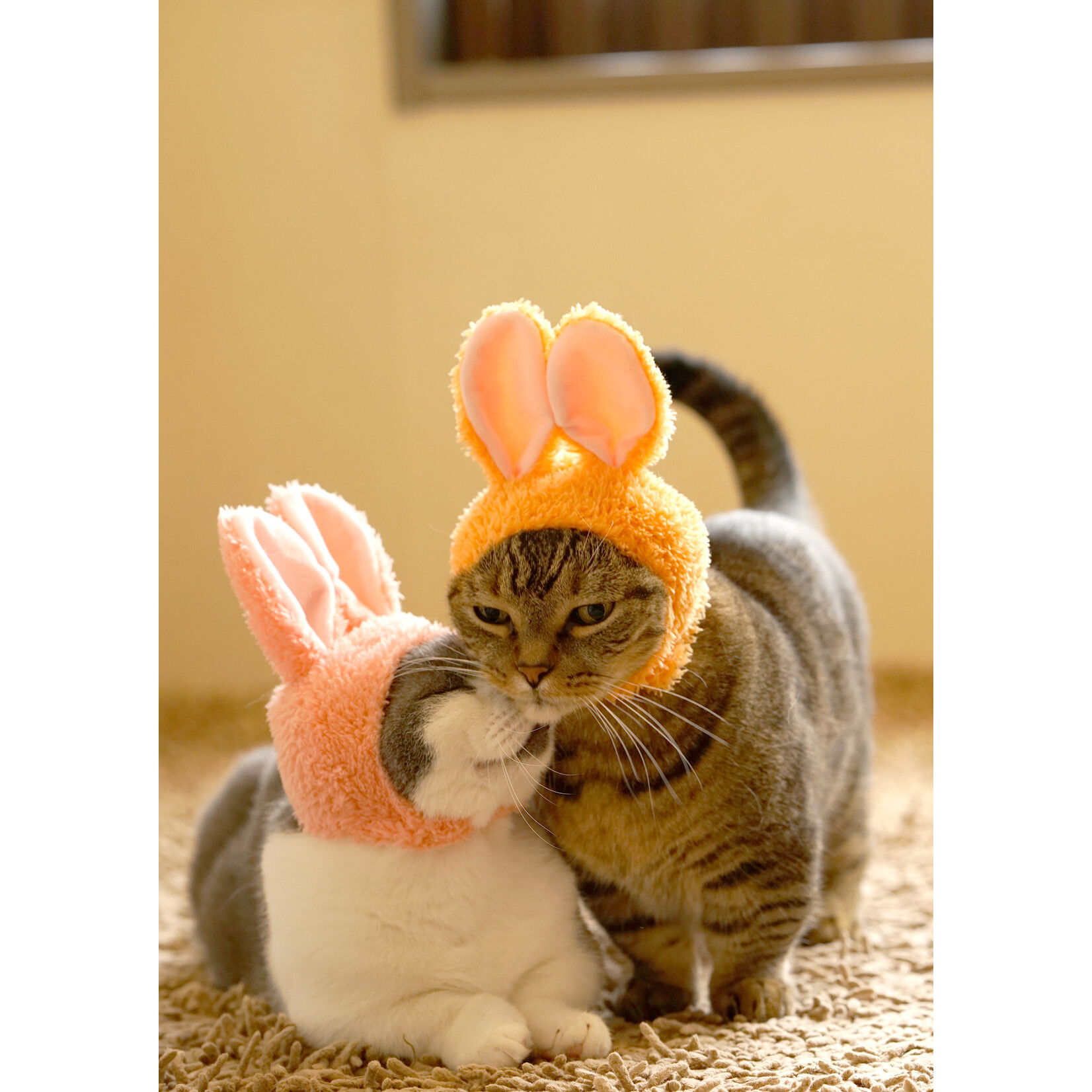 Kitan Club Cat Cap Blind Box (Rabbit)