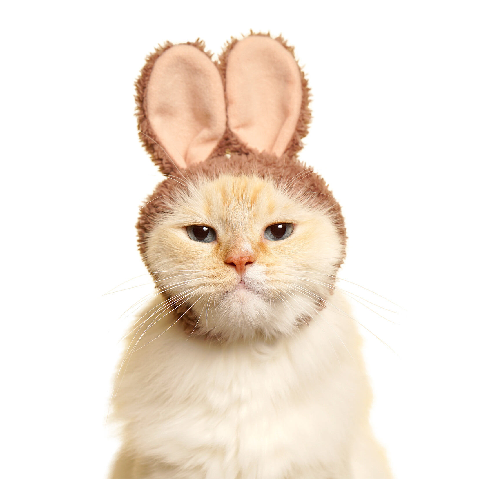 Kitan Club Cat Cap Blind Box (Rabbit)