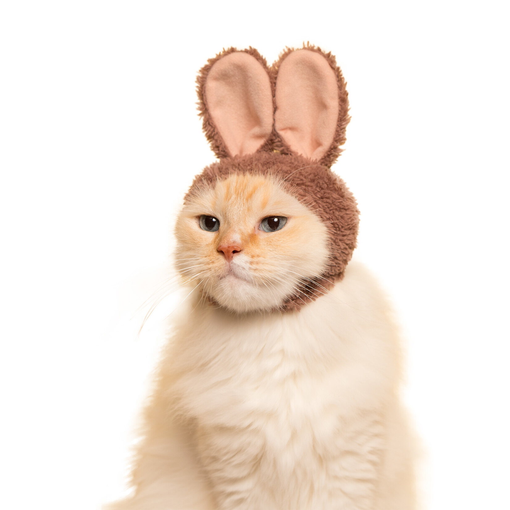 Kitan Club Cat Cap Blind Box (Rabbit)