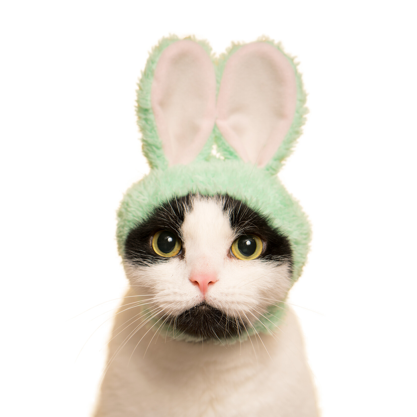 Kitan Club Cat Cap Blind Box (Rabbit)