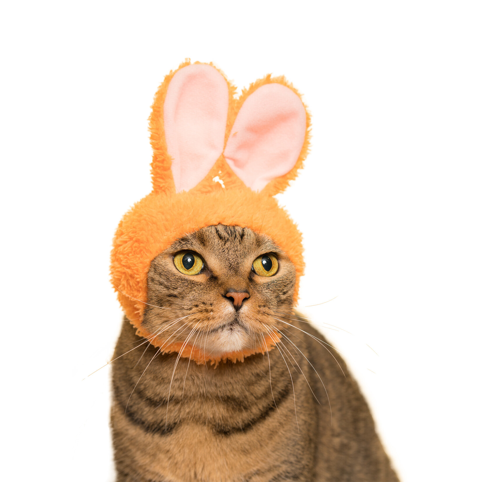 Kitan Club Cat Cap Blind Box (Rabbit)