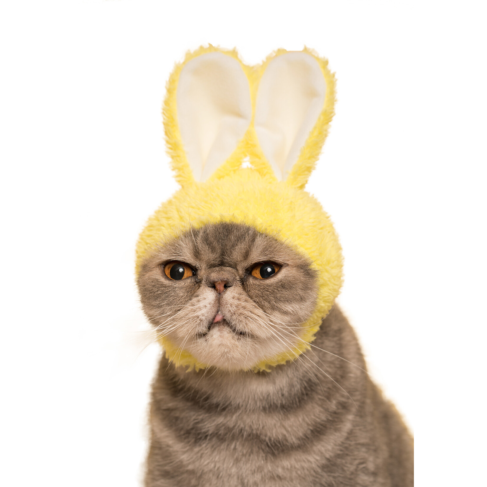 Kitan Club Cat Cap Blind Box (Rabbit)