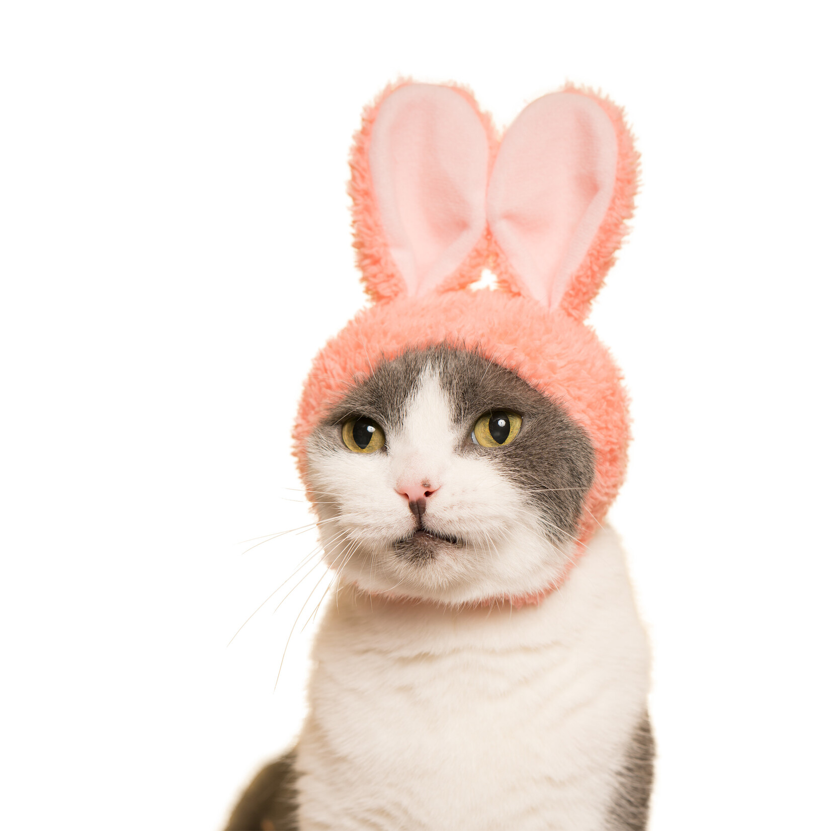 Kitan Club Cat Cap Blind Box (Rabbit)