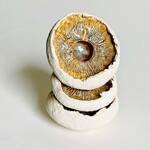 Beiko Ceramics Mushroom Cap: Cream Rust