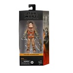 Star Wars Star Wars The Black Series: Kuiil