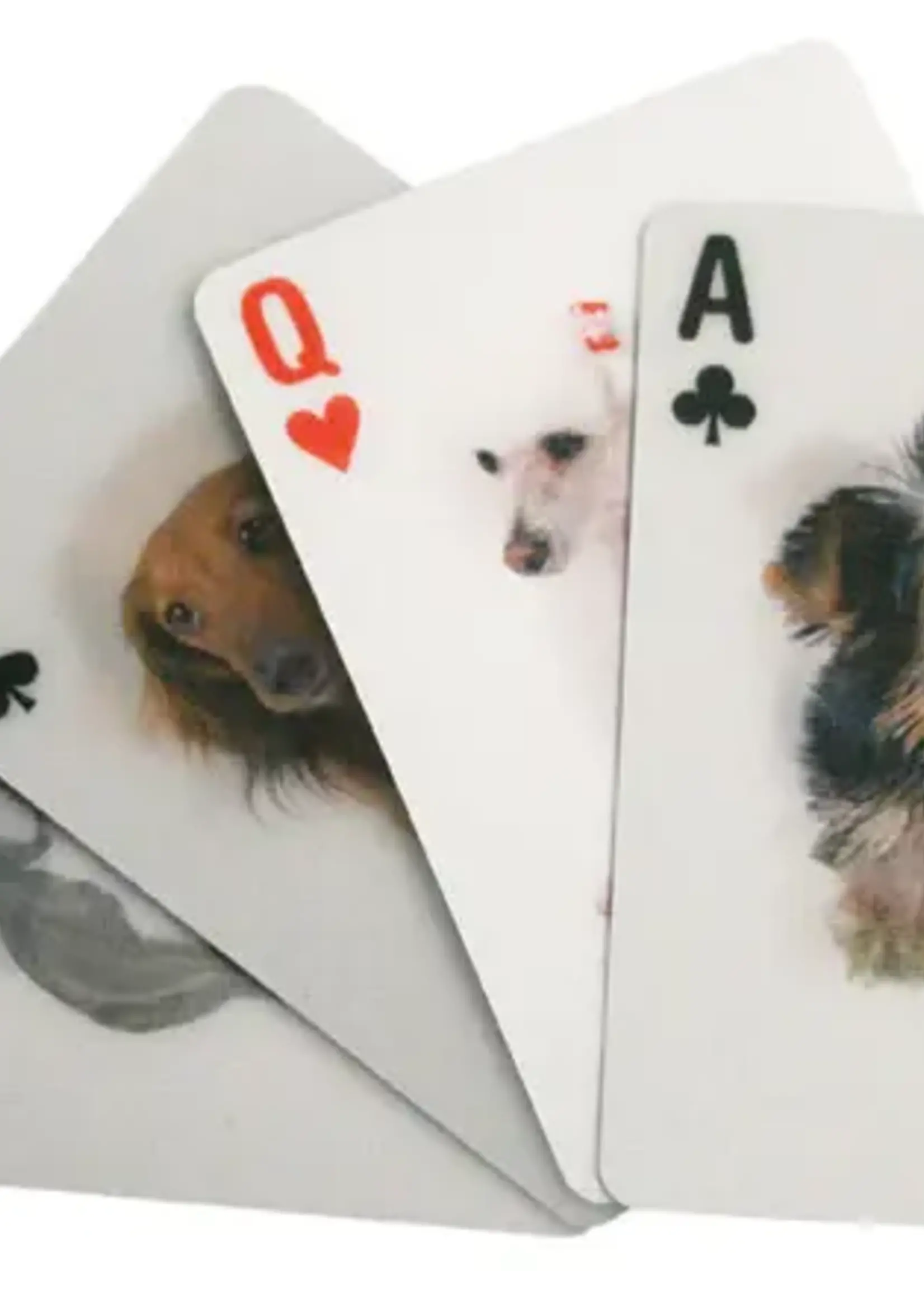 Kikkerland Design Inc DOGS 3D PLAYING CARDS