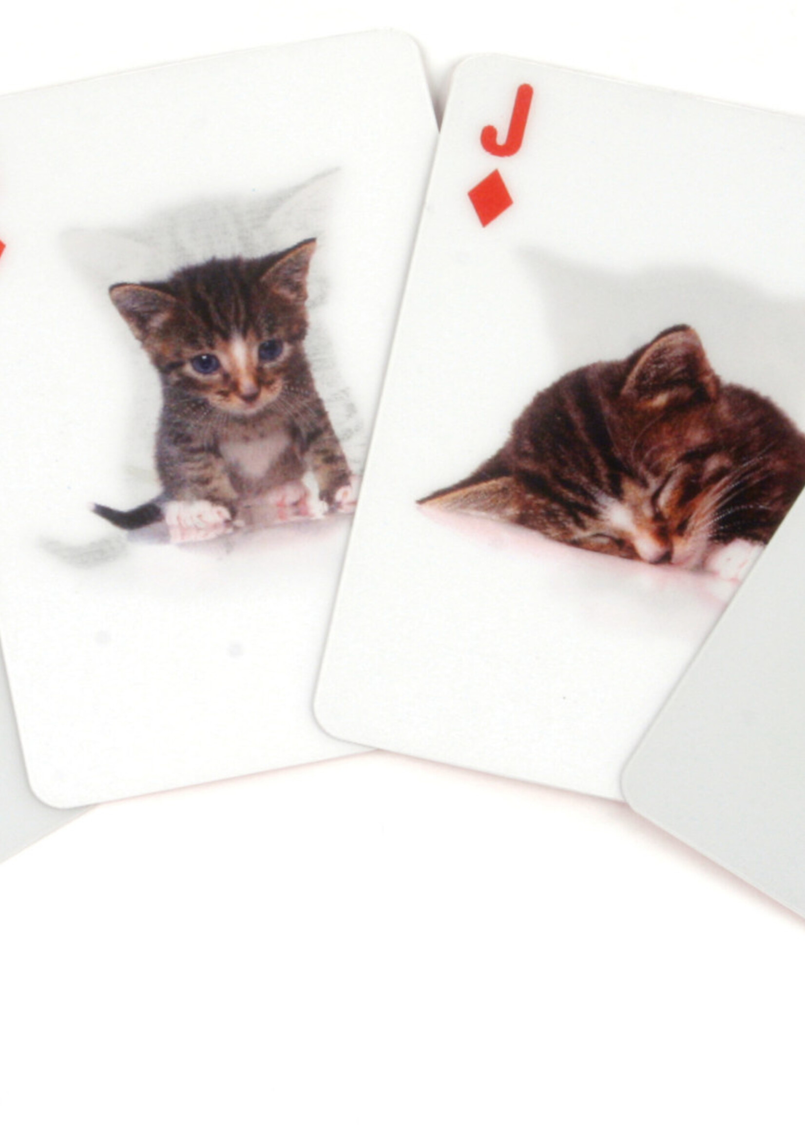 Kikkerland Design Inc CATS 3D PLAYING CARDS