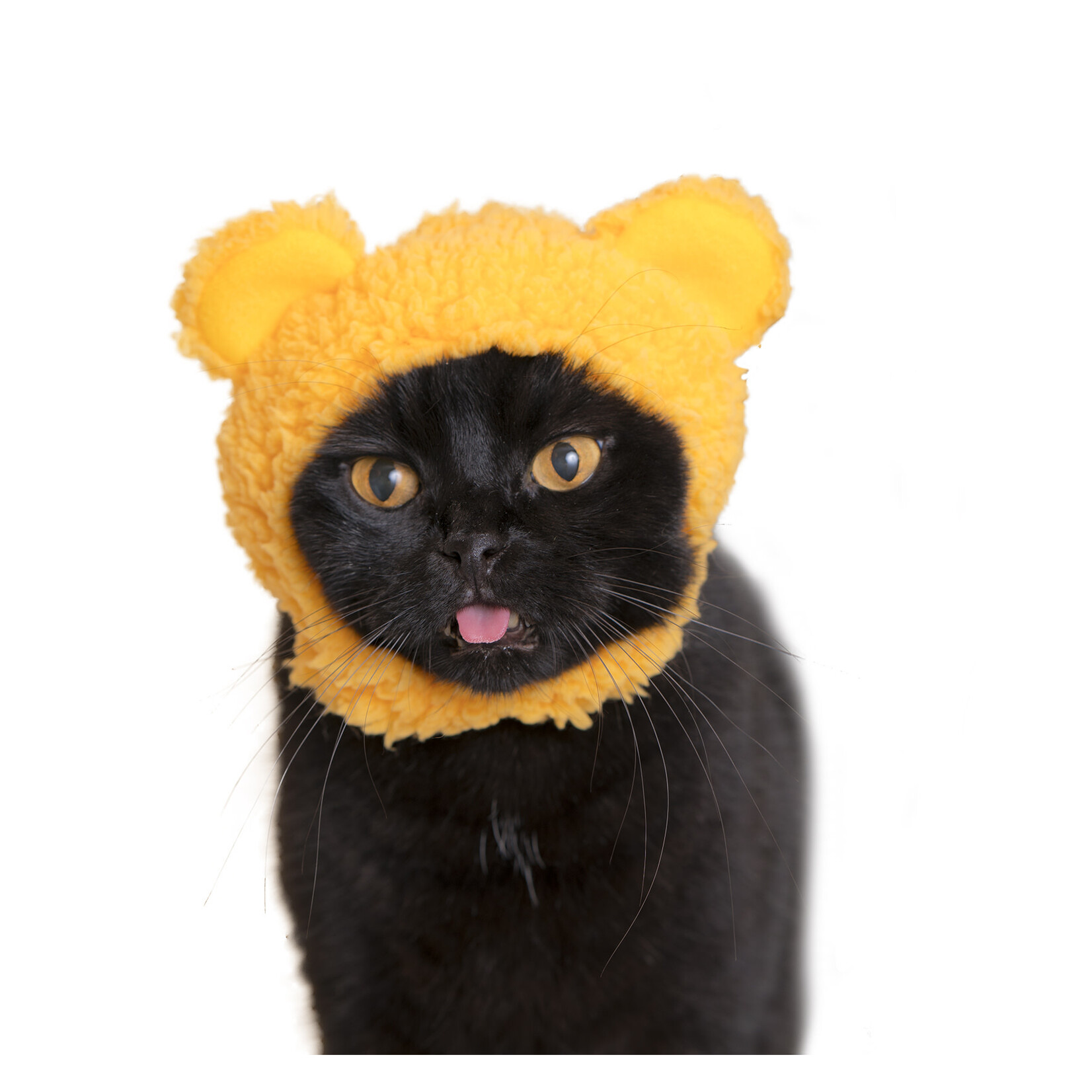 Kitan Club Kitan Club: Cat Cap Blind box (Bear)