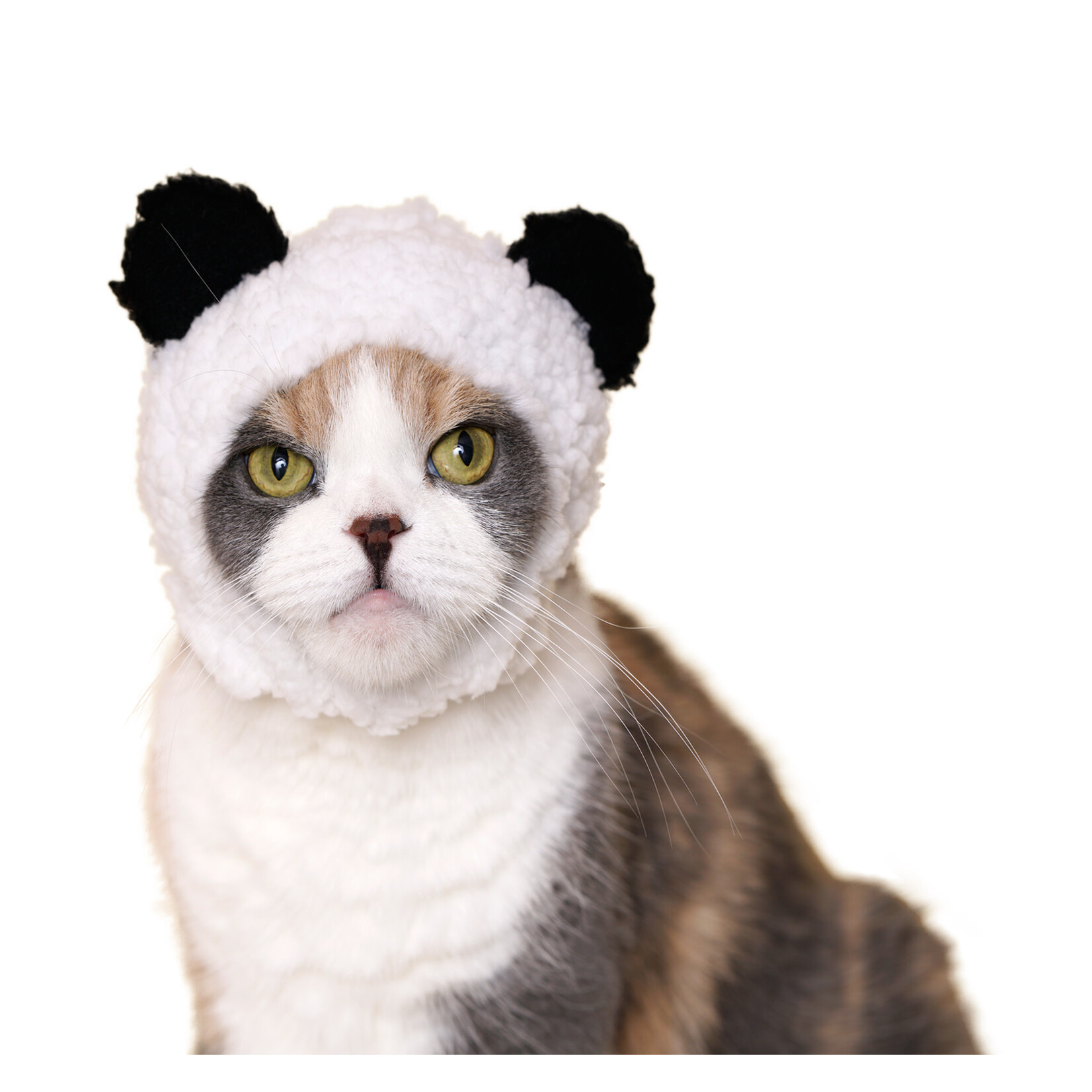 Kitan Club Kitan Club: Cat Cap Blind box (Bear)