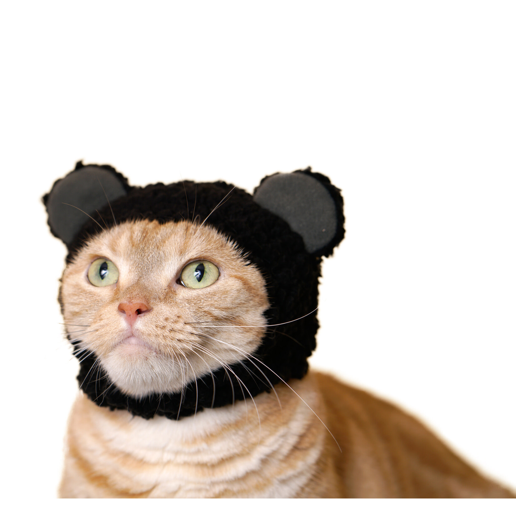 Kitan Club Kitan Club: Cat Cap Blind box (Bear)