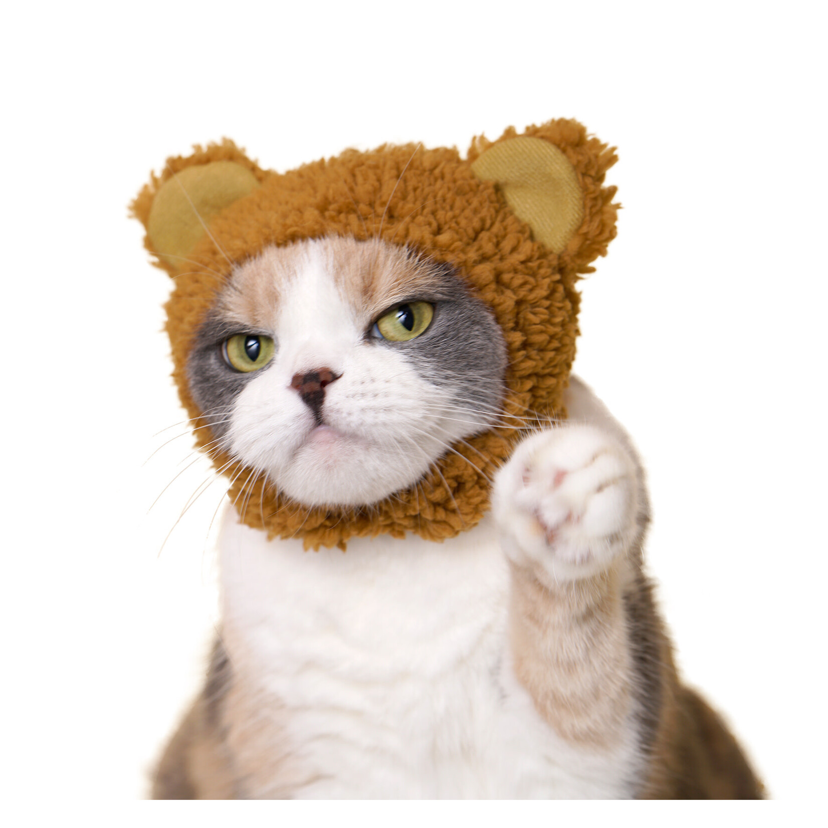 Kitan Club Kitan Club: Cat Cap Blind box (Bear)