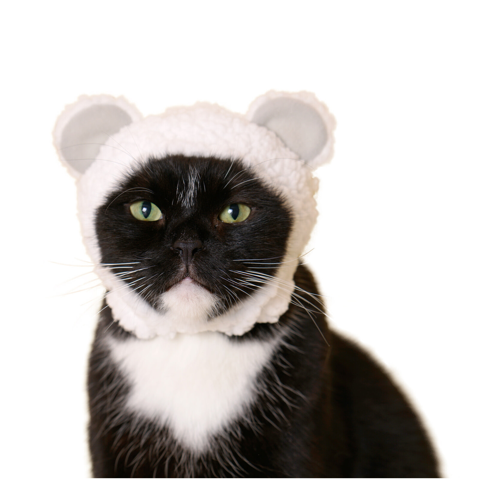 Kitan Club Kitan Club: Cat Cap Blind box (Bear)