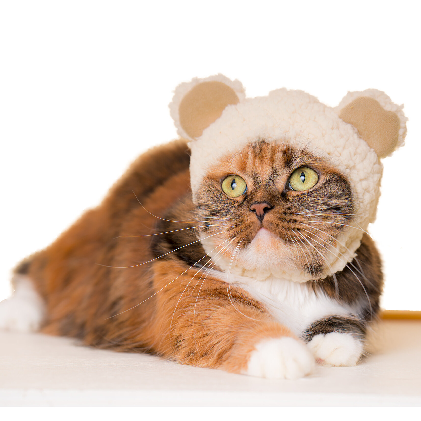 Kitan Club Kitan Club: Cat Cap Blind box (Bear)