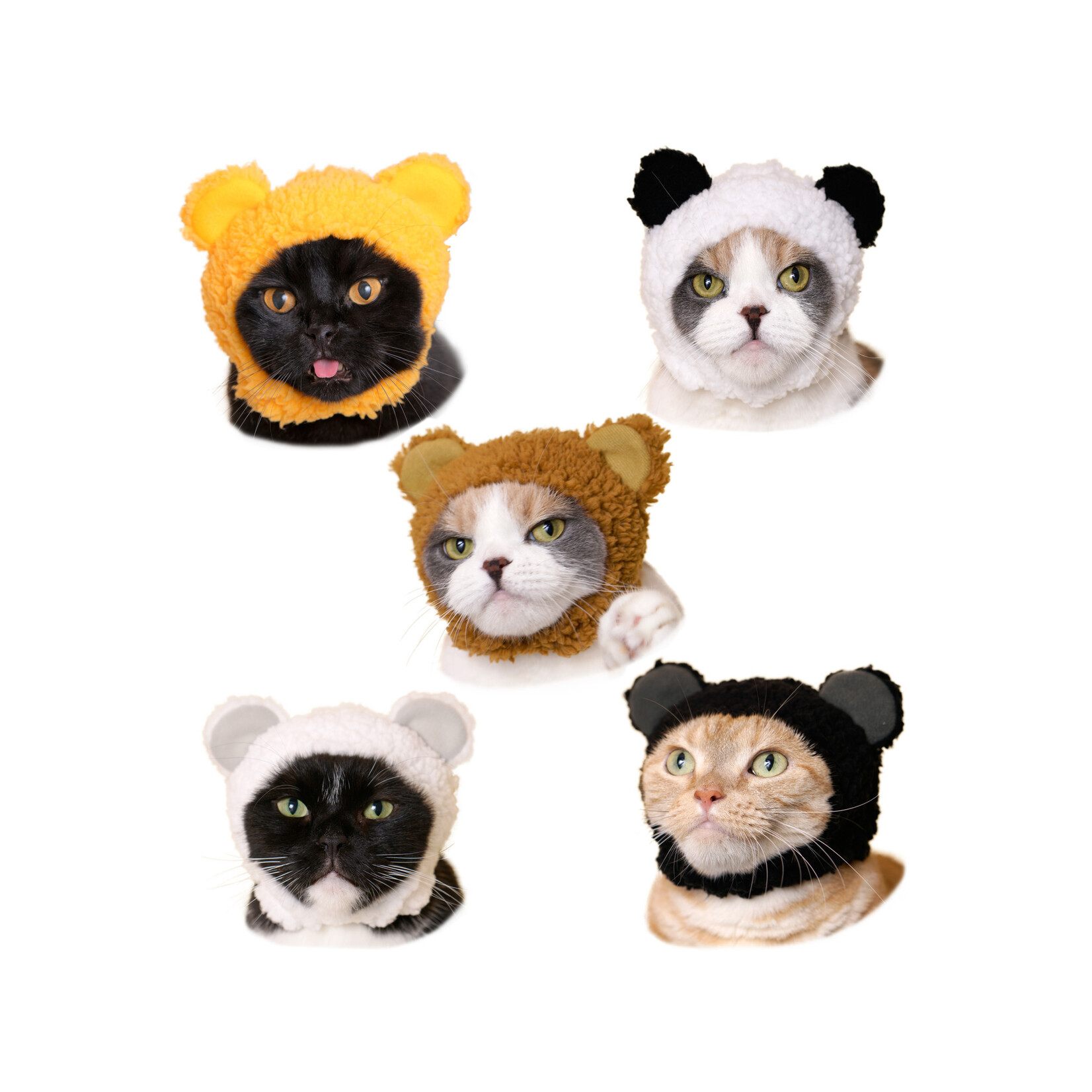 Kitan Club Kitan Club: Cat Cap Blind box (Bear)